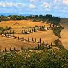 Colline della Valdera lungo il percorso