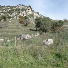 Valle Dell'Anapo