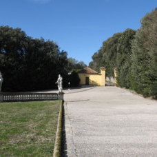 Parco Reale - Caserta