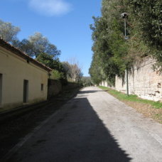 Parco Reale - Sentiero di caccia del Re - Caserta