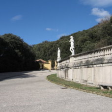 Parco Reale - Caserta