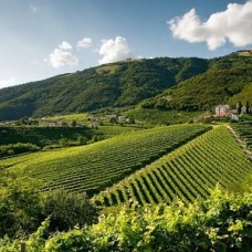 Colline del Cartizze