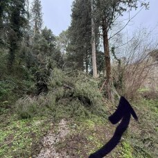 Passaggio dopo il cancello forestale