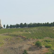 Obelisco Garibaldi  (bivio) km 124