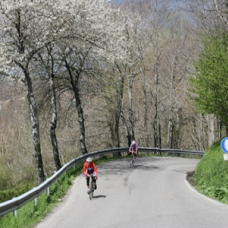 Alle pendici del Monte Amiata