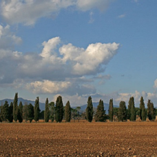 Scorcio di Maremma