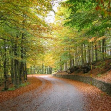 Alle pendici del Monte Amiata