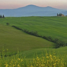 Le dolci colline dell'entroterra Maremmano.