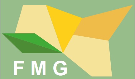 FMG