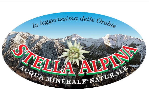 stella alpina