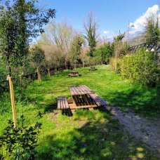 L'area picnic