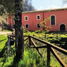 Il vecchio mulino dall'area picnic