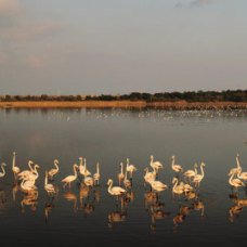 Lago delle Biviere