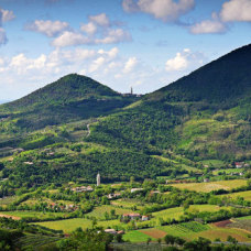 Colli Euganei - verso Monte Calaone