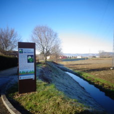 presa di arlesega