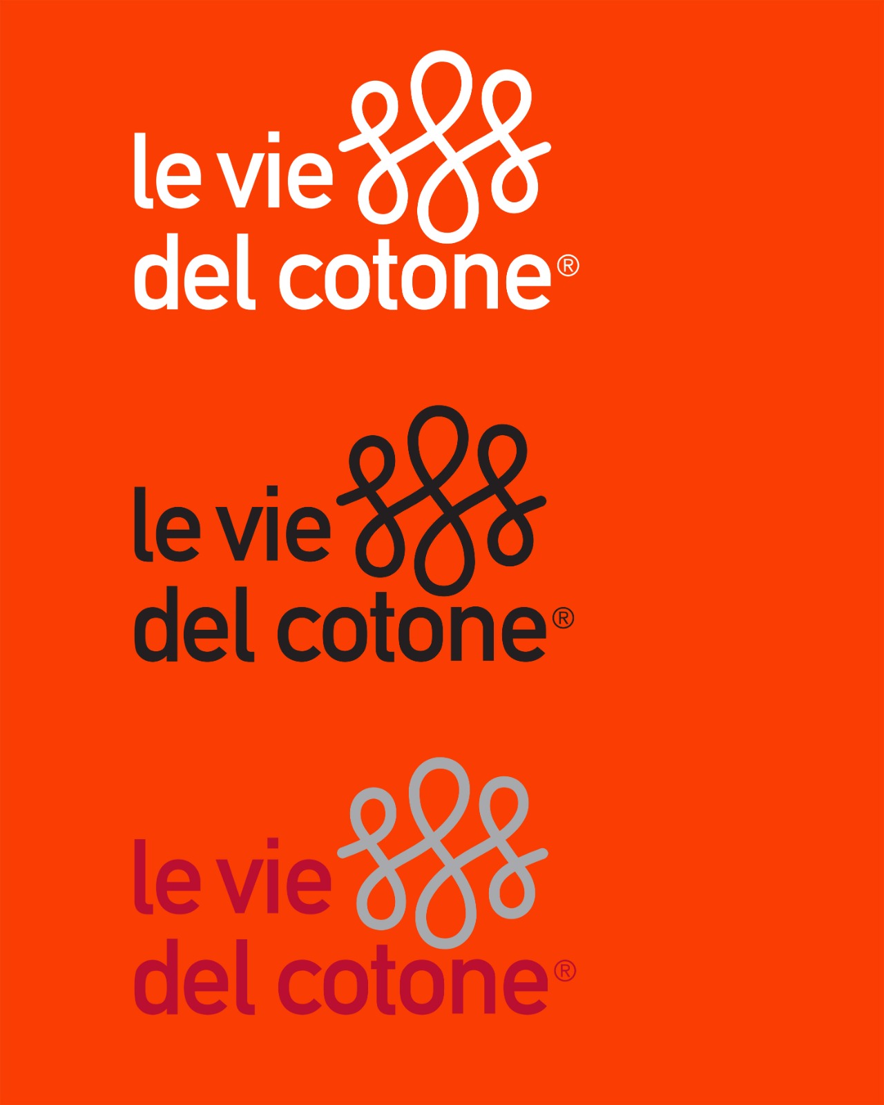 le vie del cotone