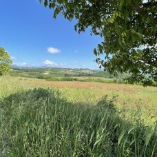 Da Campolattaro a Morcone