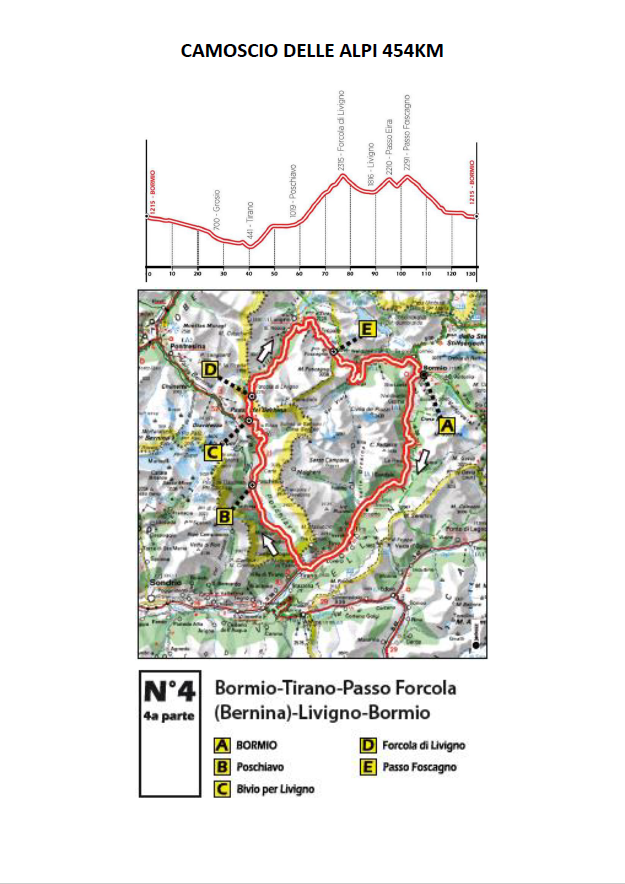 PERCORSO 4-CERVO DELLE ALPI 454