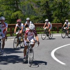 IN DISCESA DALLO STELVIO